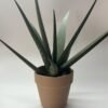 3D Printed Aloe Vera Pen Plant | Fake Houseplant with Pen Stems | Desk Organizer, Cute Office Decor, Teacher Gift, Plant Lover Gift